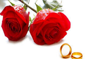 1821672 544 چی تو وب