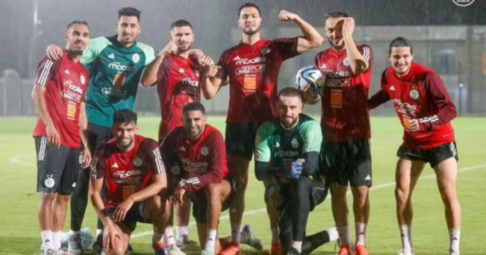 pi1lfmpz7 چی تو وب
