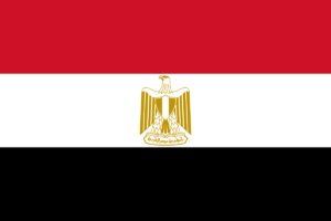 1200px Flag of Egypt.svg چی تو وب