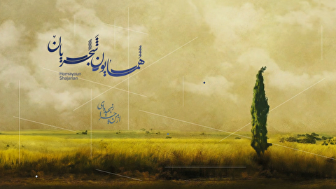 2036731 106 چی تو وب