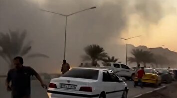 2038135 861 چی تو وب