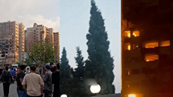 2038293 307 چی تو وب