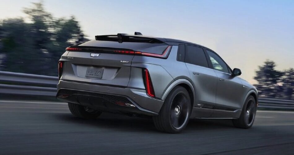 2199120 498 چی تو وب