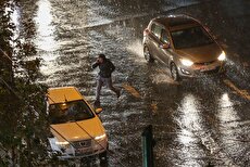 تصاویری از بارش شدید باران در کرمان (فیلم) 1 2199369 539 چی تو وب