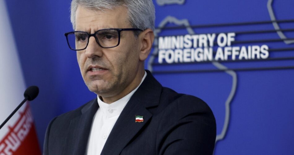 2199546 356 چی تو وب