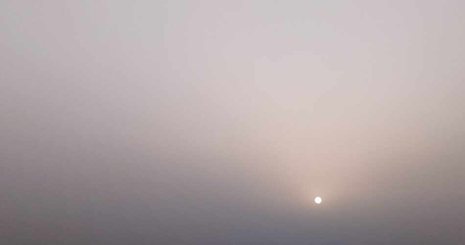 2199554 218 چی تو وب