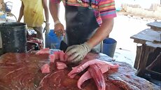 2199749 982 چی تو وب