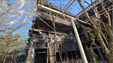 2199788 257 چی تو وب