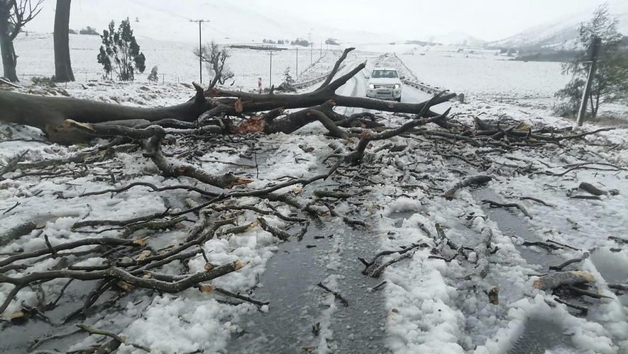 ۴۹ کشته بر اثر وقوع سیل در آفریقای جنوبی 1 2202155 614 چی تو وب