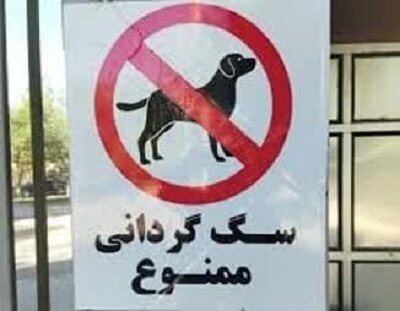 2202186 451 چی تو وب