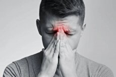 2202340 993 چی تو وب