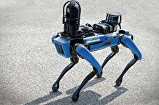 2202481 595 چی تو وب