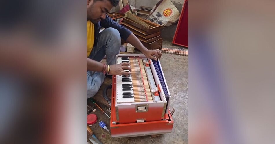 2202568 867 چی تو وب