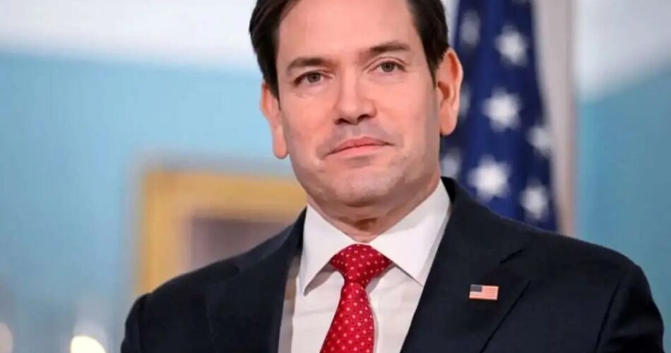 2203085 901 چی تو وب