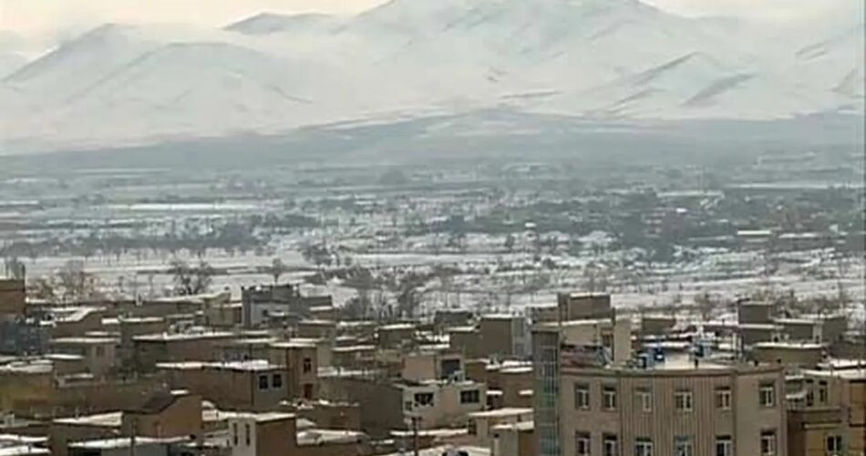 2203146 247 چی تو وب