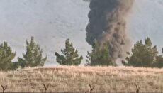 2203215 568 چی تو وب