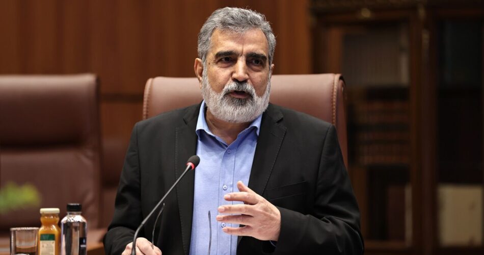 2204056 567 چی تو وب