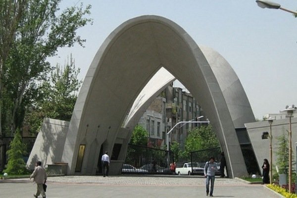 2204498 162 چی تو وب