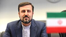 2204784 273 چی تو وب