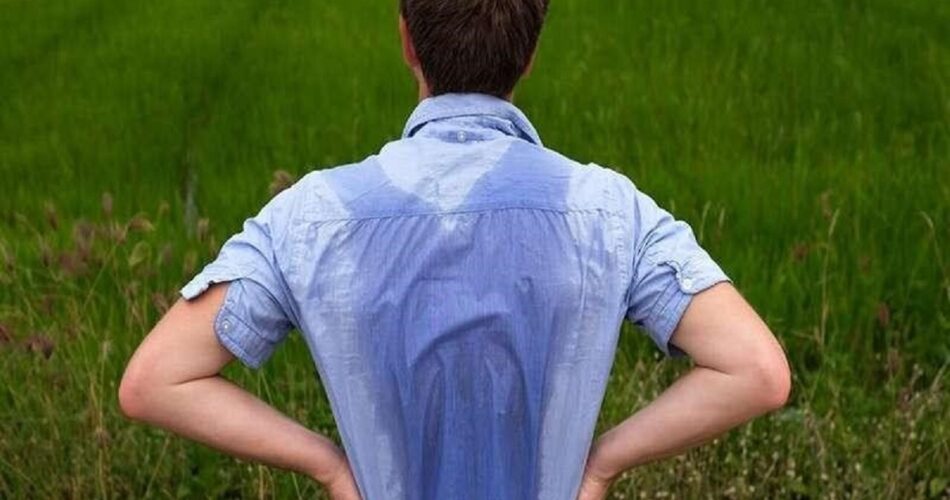 علت زیاد عرق کردن بدن چیست؟ 1 2204954 660 چی تو وب