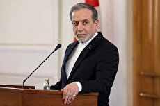 2205020 425 چی تو وب