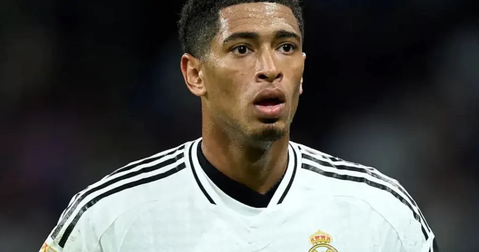 ih1qibz59 چی تو وب